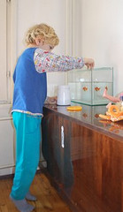 attending to fish tank